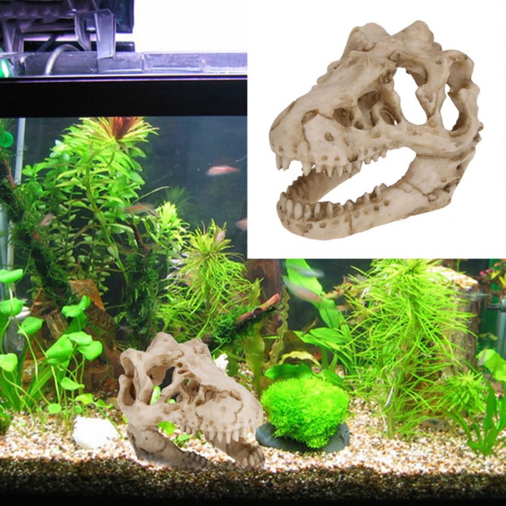 Aquarium Fish Escape - Yaratıcı simülasyon dinozor kafatası kaçış evi