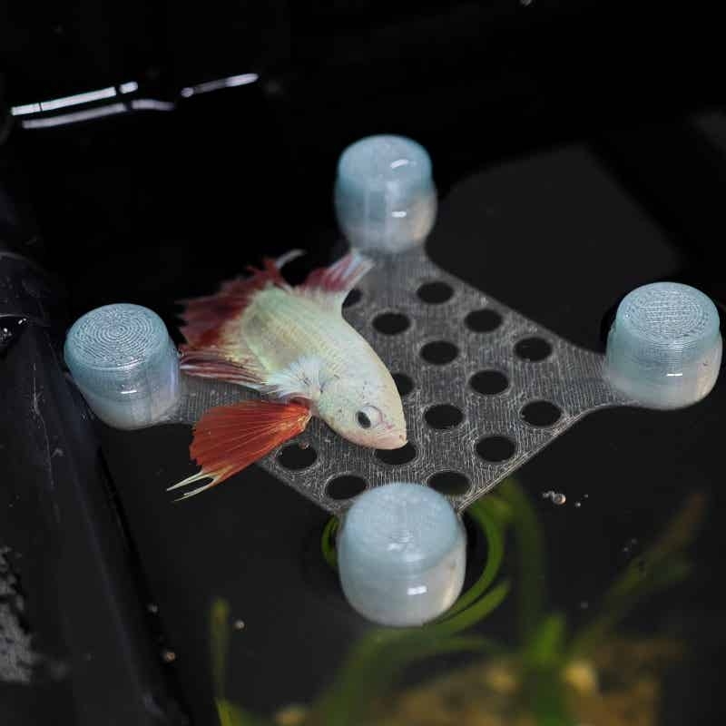 Aquarium Fish Escape - Betta Balığı Dinlenme Yatağı Vakumlu Akvaryum