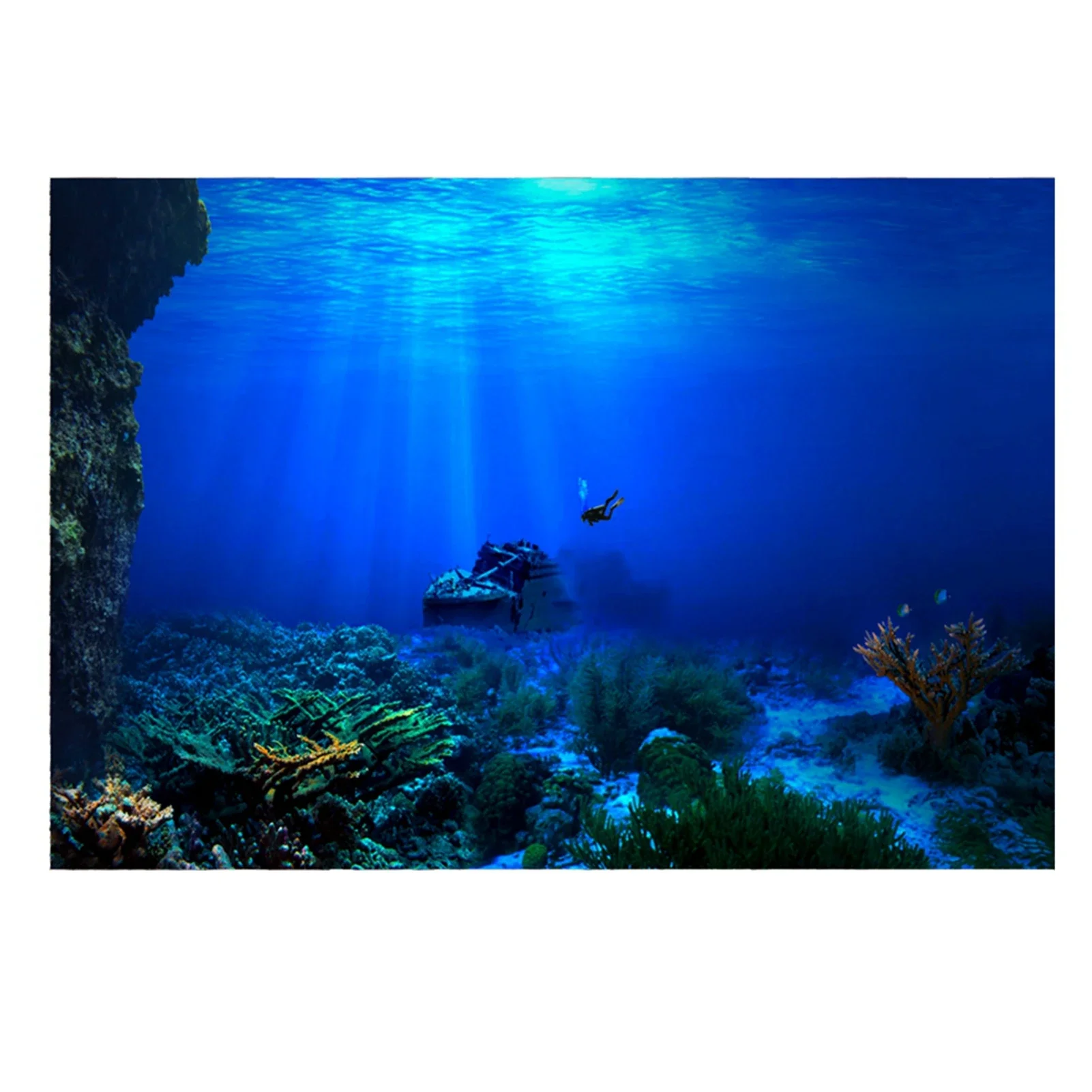 Aquarium Fish Wallpaper - Rainforest akvaryum arka plan posteri balık