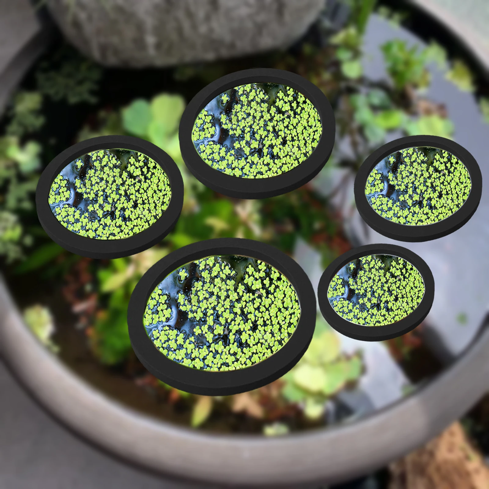 Aquarium Fish Types - 5 adet EVA balık besleme halkası