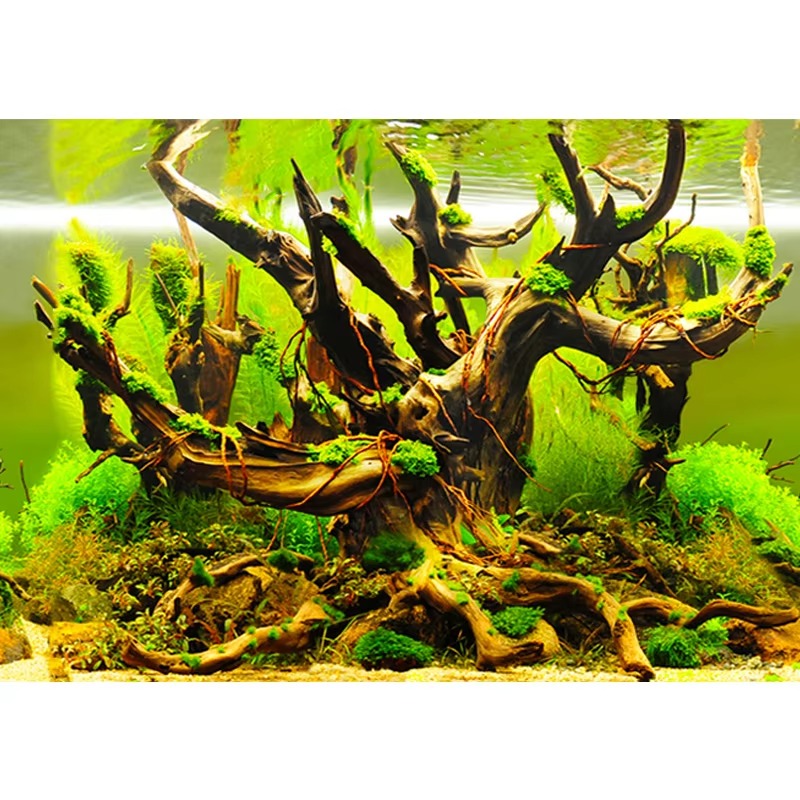 Aquarium Fish Wallpaper - Akvaryum için yapay mercanlar 50cm Akvaryum