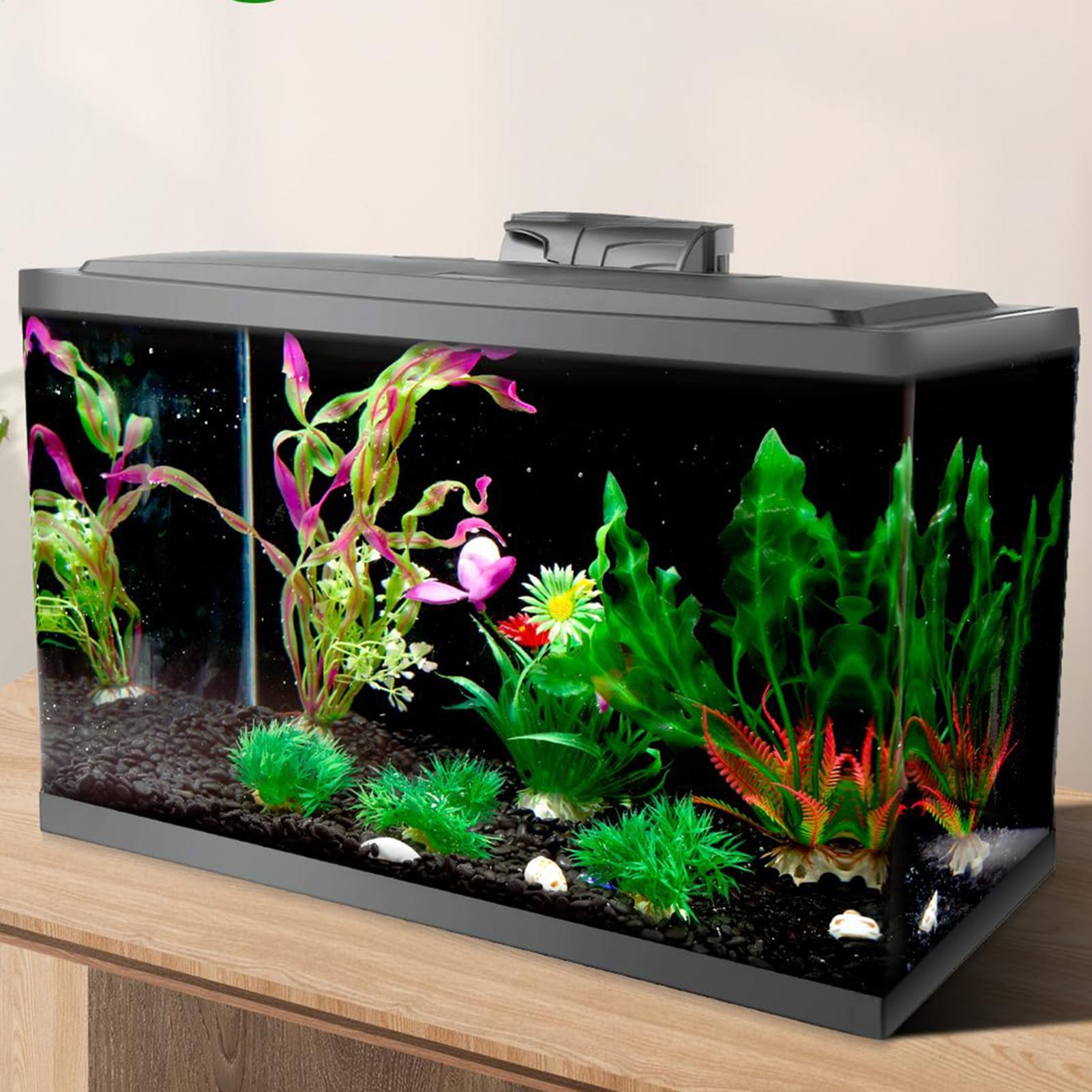 Aquarium Fish Wallpaper - Siyah Akvaryum Arka Plan Resmi Akvaryum
