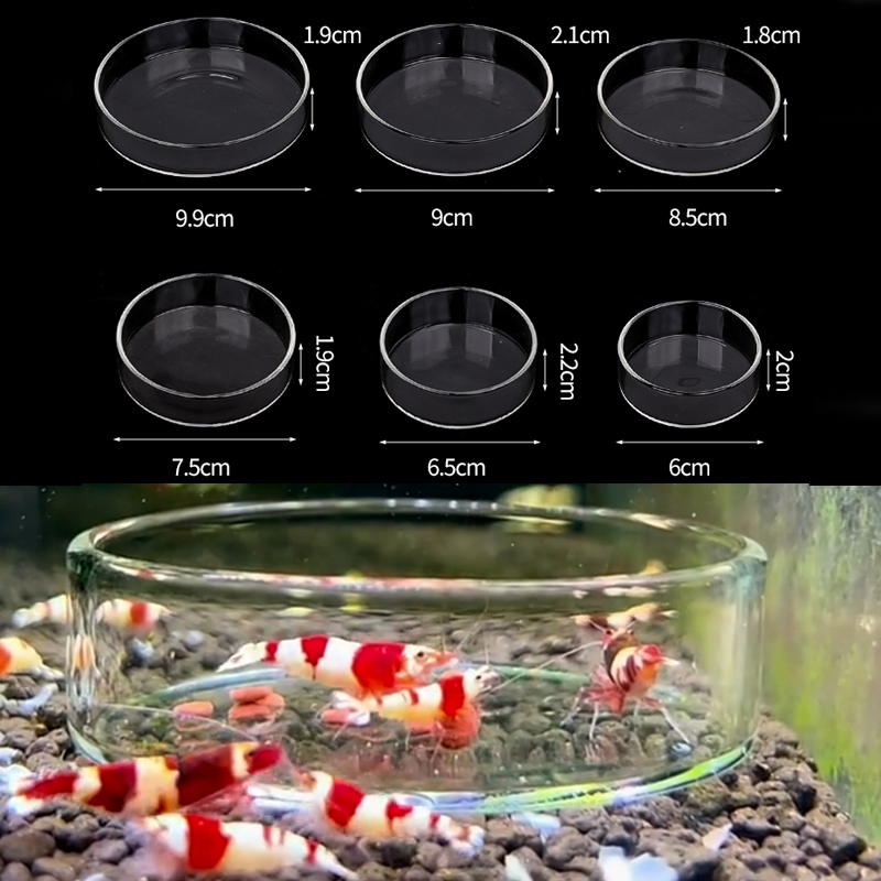 Aquarium Fish Eggs - Karides besleme kabı Yüksek Şeffaf Cam