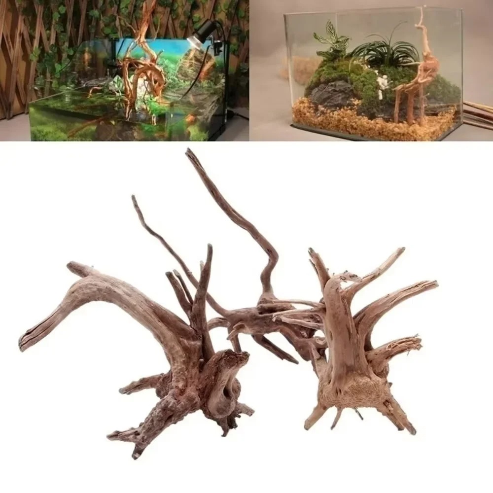Aquarium Fish Types - (15-20cm) Doğal Deniz Odunu Akvaryum Dekorasyonu
