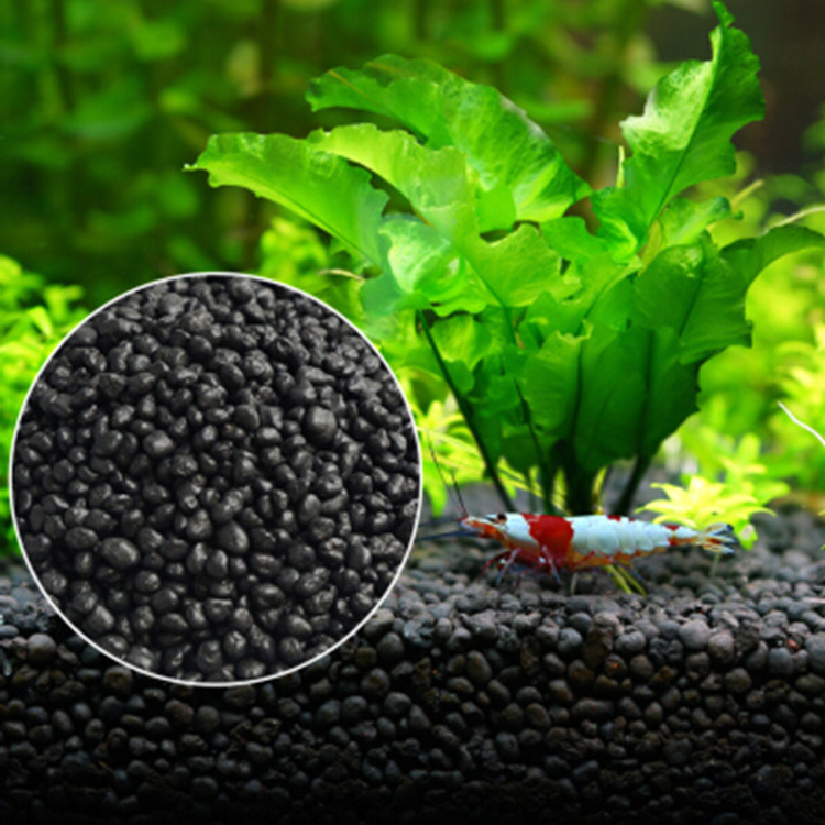 Aquarium Fish Types - Akvaryum bitki tohumları toprak balık tankı