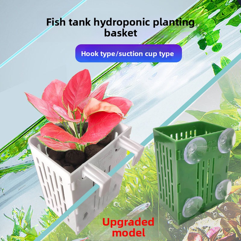 Aquarium Fish Only - 1 adet duvara monte hidroponik dikim
