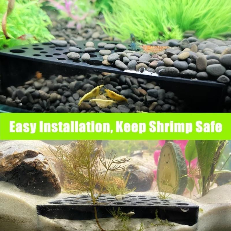 Aquarium Fish Types - Küçük Balıklar İçin Yeni Akvaryum Gizli