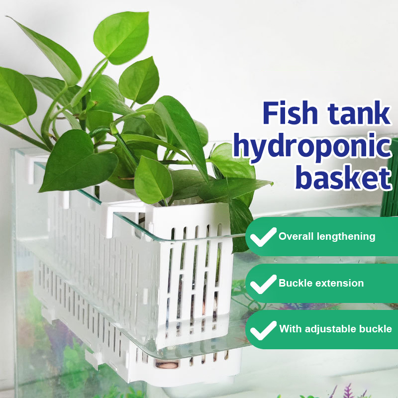 Aquarium Fish Types - Balık Tankı Asılı Saksı Su Bitkisi
