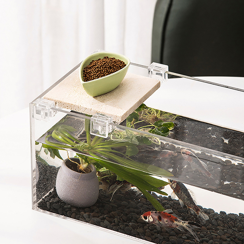4 adet akrilik balık depo kapa - Aquarium Fish To Buy incelemesi ve fiyatı