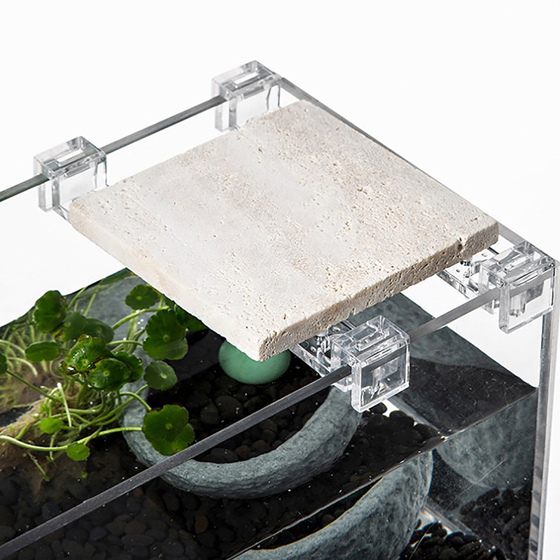 4 adet akrilik balık depo kapa - Aquarium Fish To Buy incelemesi ve fiyatı