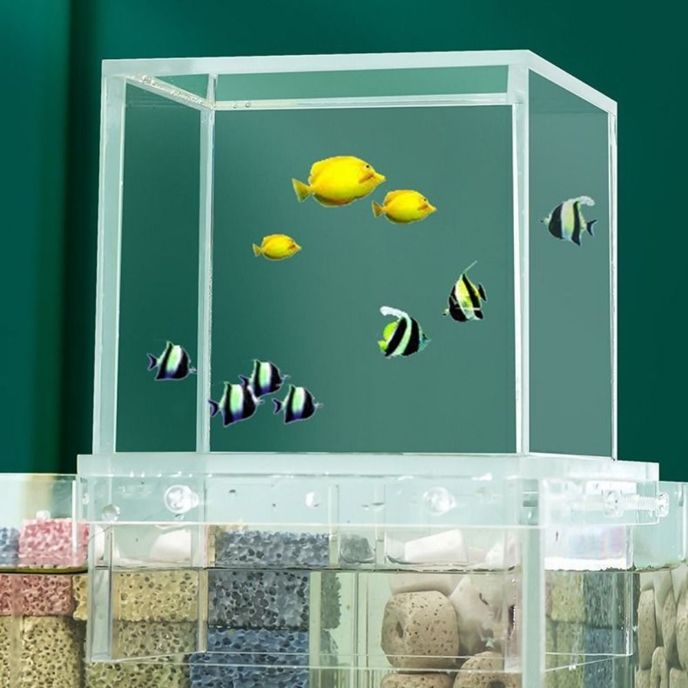 Peyzaj Tasarımlı Negatif Basın - Aquarium Xl incelemesi ve fiyatı