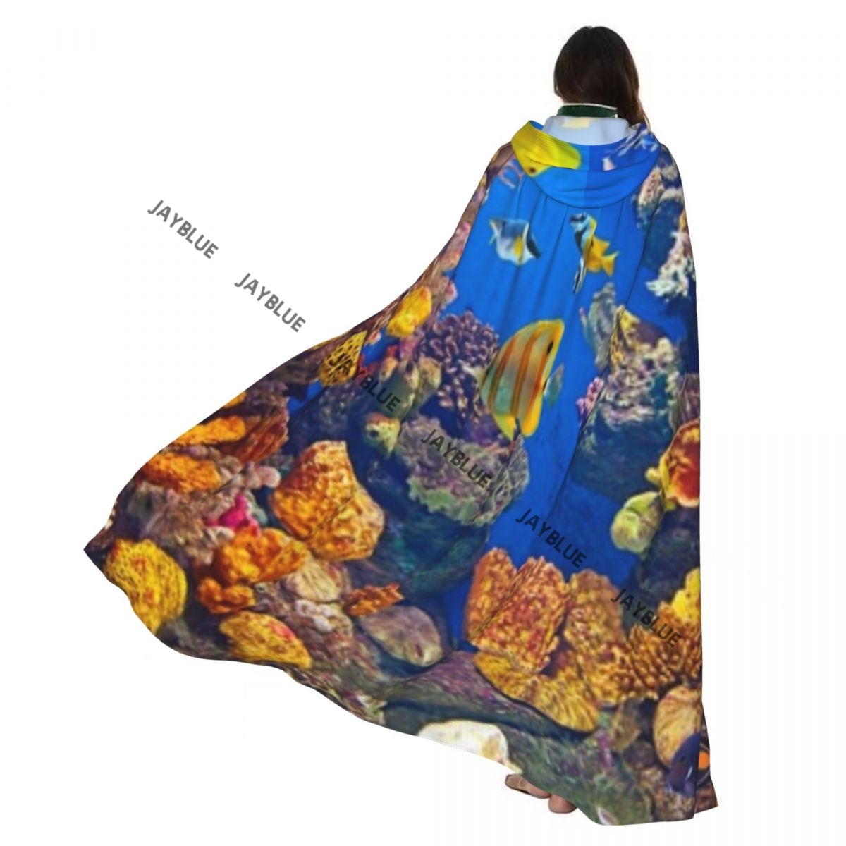 Unisex Yetişkin Renkli Akvaryu - Aquarium Queen Fish incelemesi ve fiyatı