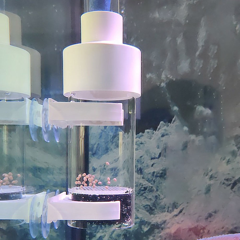40mm Tumbler Kuluçka Balık Kul - Aquarium Fish Eggs incelemesi ve fiyatı