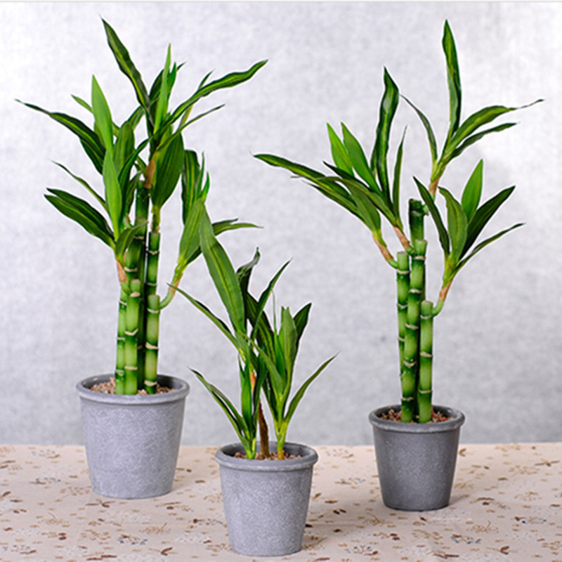 Yeni 40cm Yapay Şanslı Bambu S - Aquarium Fish Types incelemesi ve fiyatı