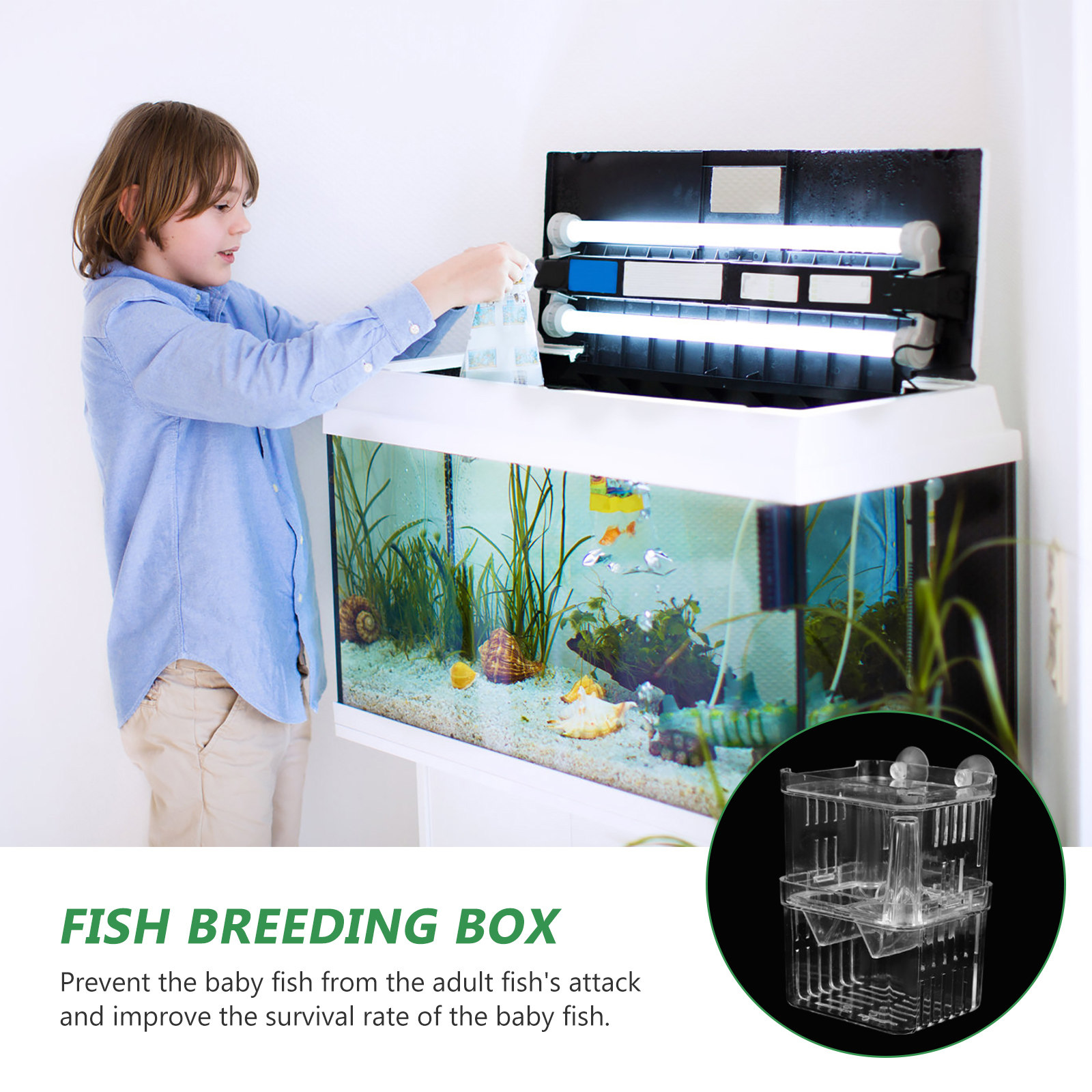 Akvaryum Yavrulama İsole Edici - Aquarium Fish Eggs incelemesi ve fiyatı