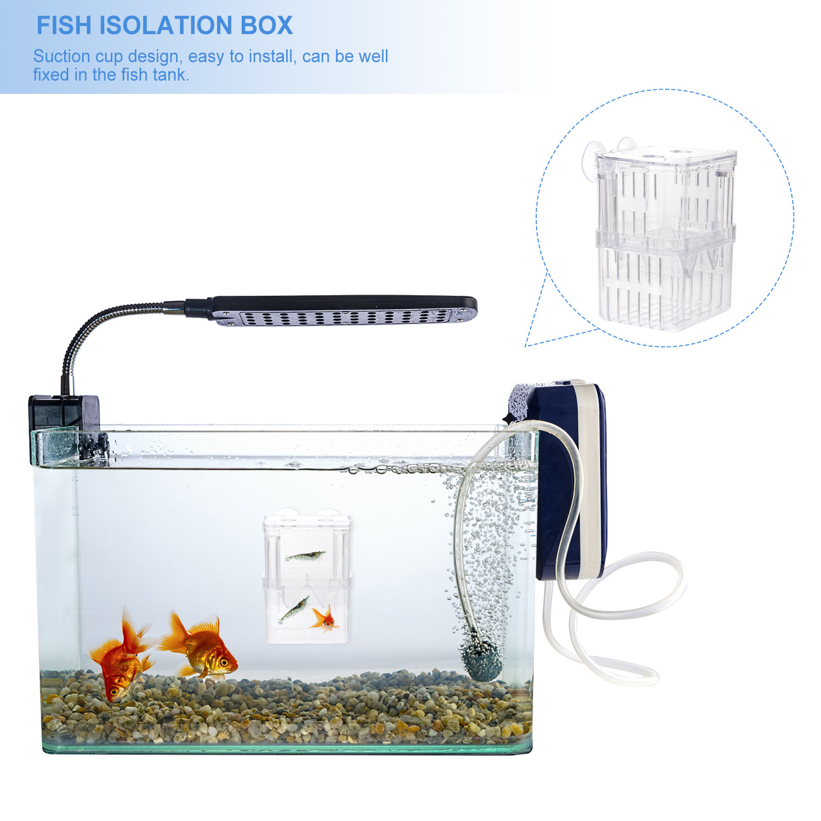 3 Adet Kompakt Akvaryum İzolas - Aquarium Fish Rate incelemesi ve fiyatı