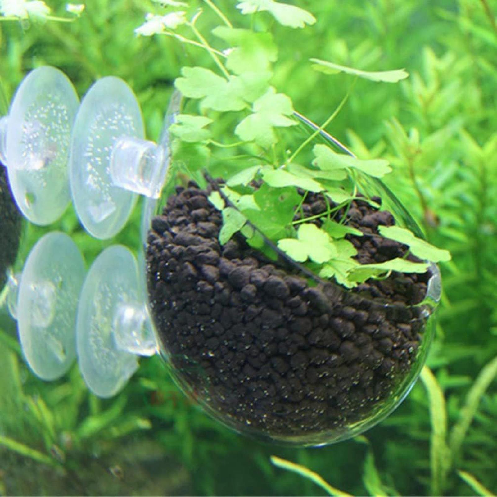 Akvaryum Bitki Tutucu Cam Su B - Aquarium Fish Only incelemesi ve fiyatı