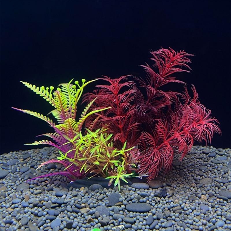 Yapay Akvaryum Dekorasyon Bitk - Aquarium Fish For Sale incelemesi ve fiyatı