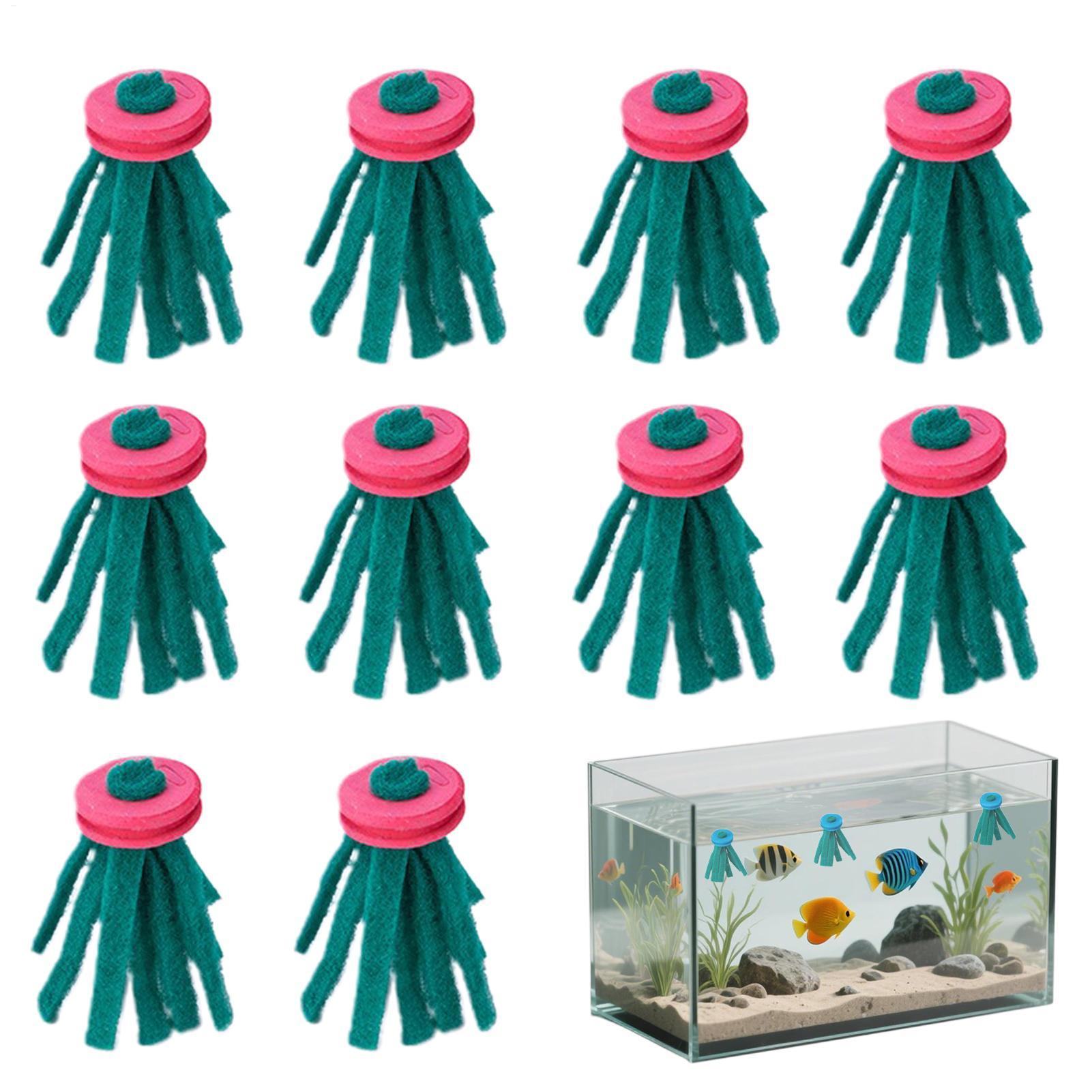 10 adet akvaryum yumurtlama mo - Aquarium Fish Eggs incelemesi ve fiyatı