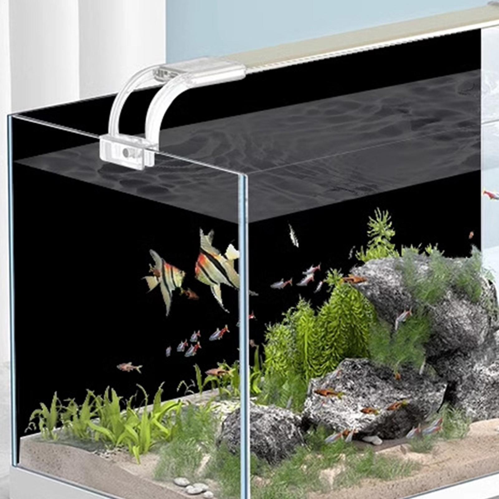 Balık Tankı Arka Plan Çıkartma - Aquarium Fish Wallpaper incelemesi ve fiyatı