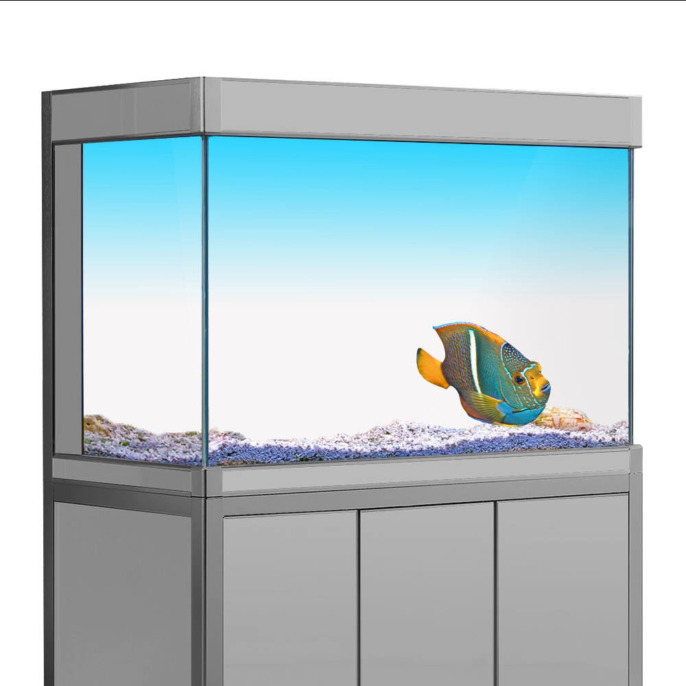 Balık Tankı Arka Plan Etiket B - Aquarium Fish Wallpaper incelemesi ve fiyatı