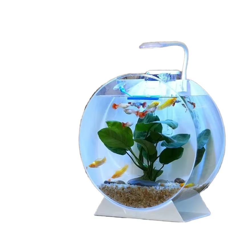 Sıcak Fırsat Modern Çevre Dost - Aquarium Fish For Sale incelemesi ve fiyatı