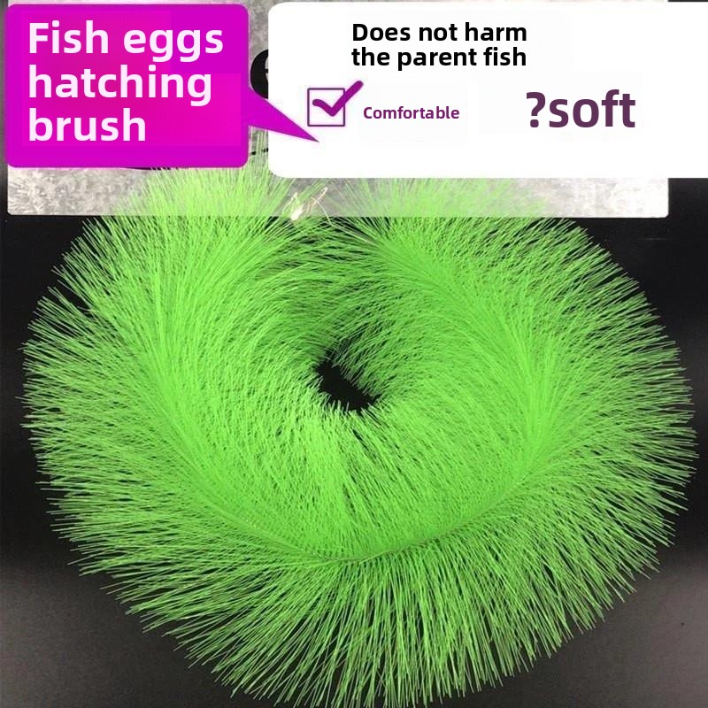 Koi Balıkları için Yumurta Kul - Aquarium Fish Eggs incelemesi ve fiyatı