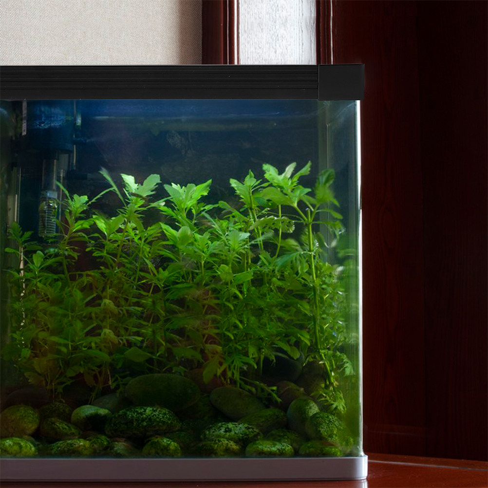 Akvaryum Cam Kenar Koruyucu, Ç - Aquarium Fish Glass incelemesi ve fiyatı