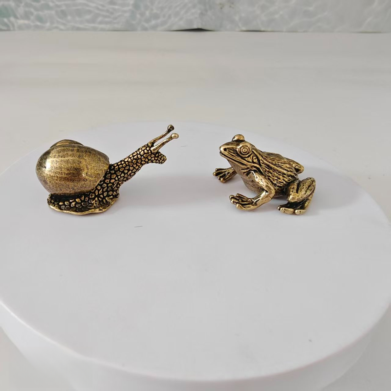 2 adet pirinç kurbağa ve salya - Aquarium Fish Types incelemesi ve fiyatı