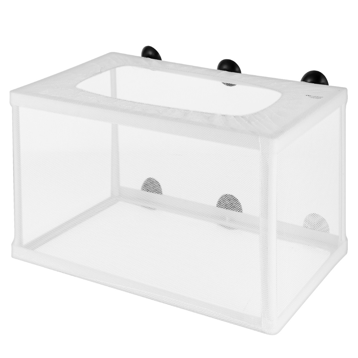 Büyük Boy Balık Ağı, Akvaryum  - Aquarium Fish Rate incelemesi ve fiyatı