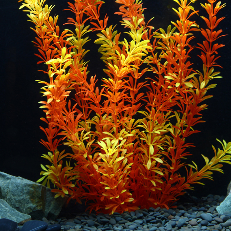 100cm Tropikal Bitkiler Büyük  - Aquarium Fish Types incelemesi ve fiyatı