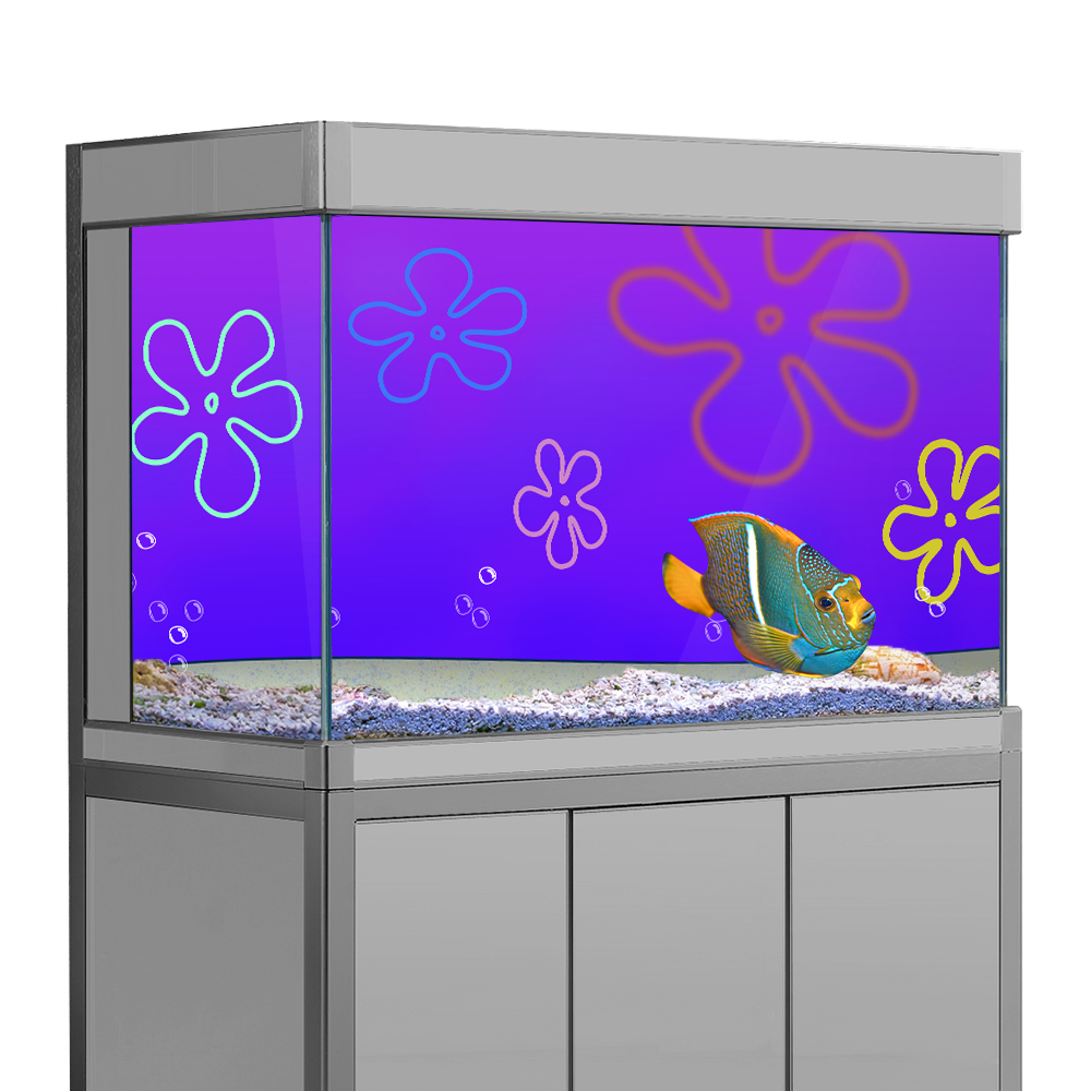 Karikatür bob Sualtı Akvaryum  - Aquarium Fish Wallpaper incelemesi ve fiyatı