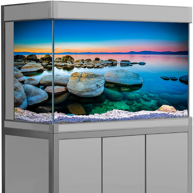Akvaryum Arka Plan Çıkartması  - Aquarium Fish Wallpaper incelemesi ve fiyatı