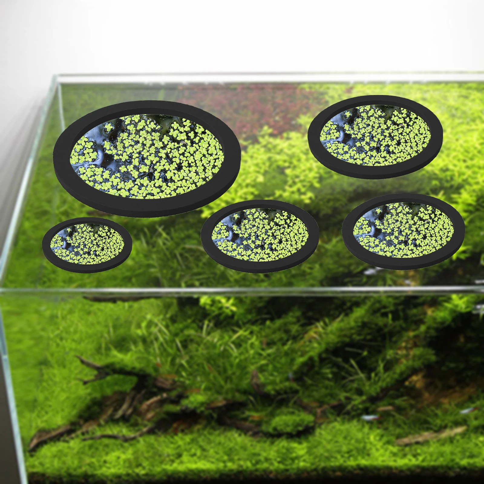 5 adet EVA balık besleme halka - Aquarium Fish Types incelemesi ve fiyatı