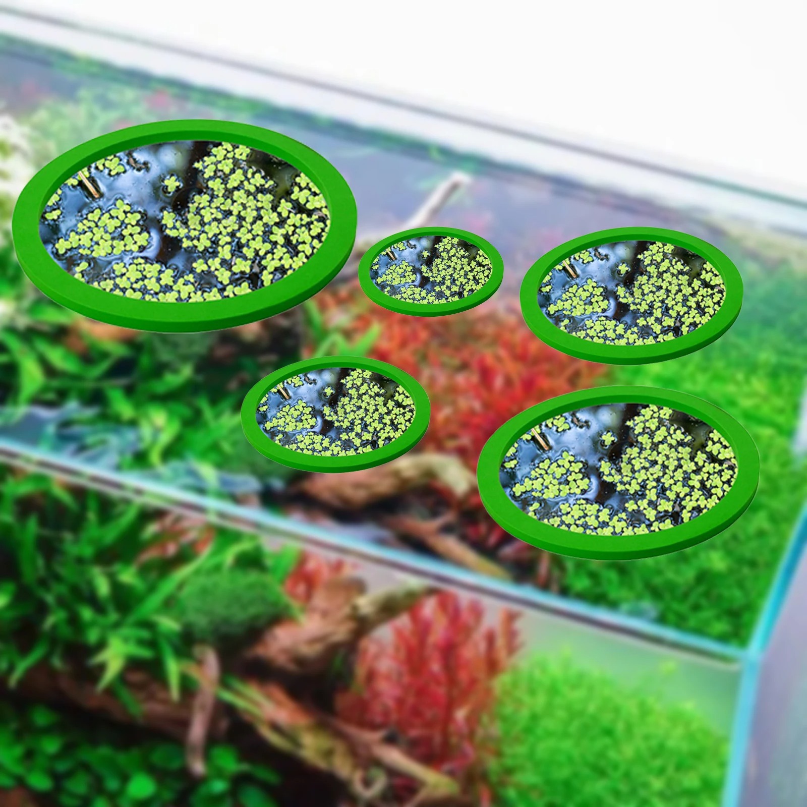 5 adet EVA balık besleme halka - Aquarium Fish Types incelemesi ve fiyatı