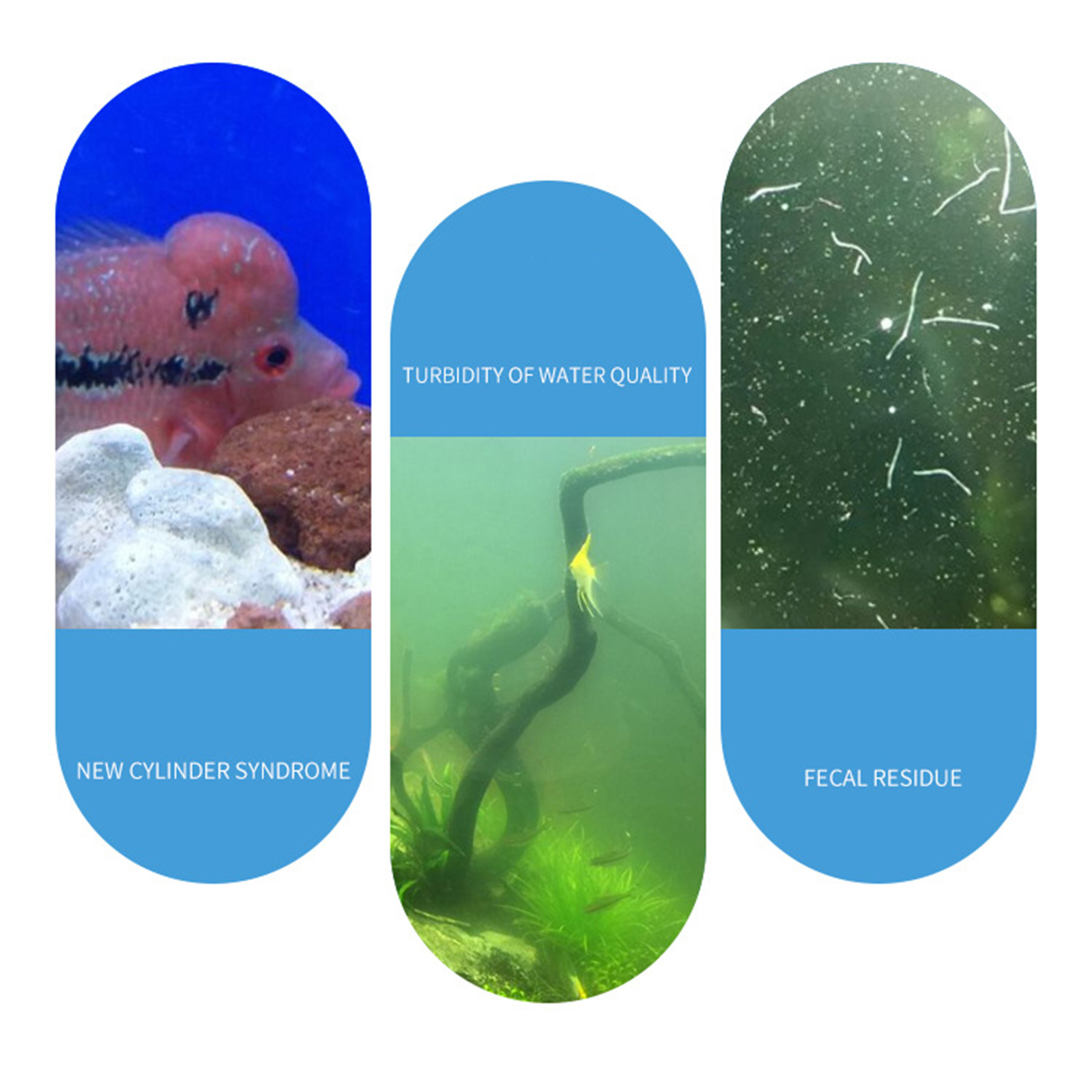 Akvaryum Nitrifikasyon Nitroba - Aquarium Fish Waste Collector incelemesi ve fiyatı