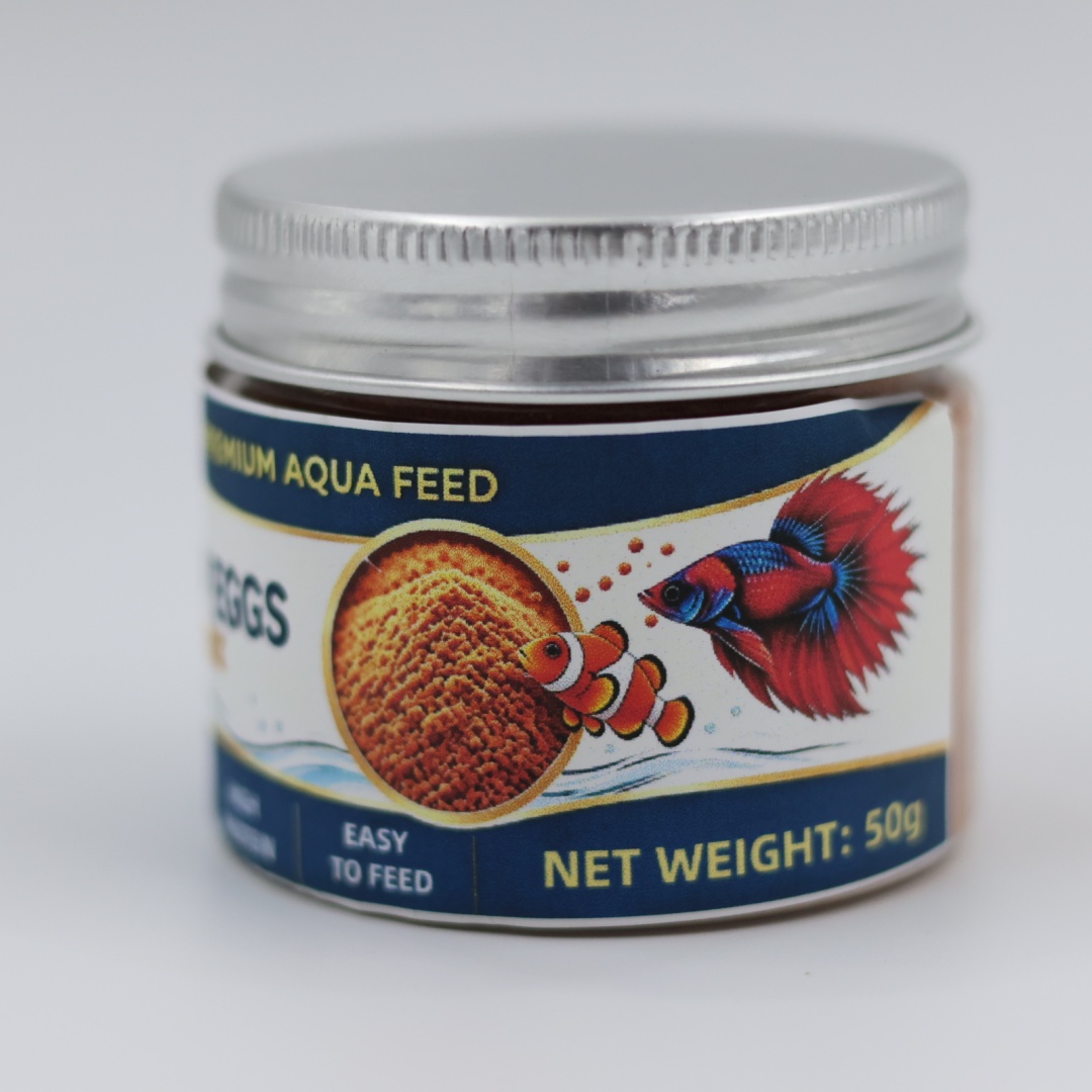 Deniz Balıkları, Tropikal Balı - Aquarium Fish Eggs incelemesi ve fiyatı