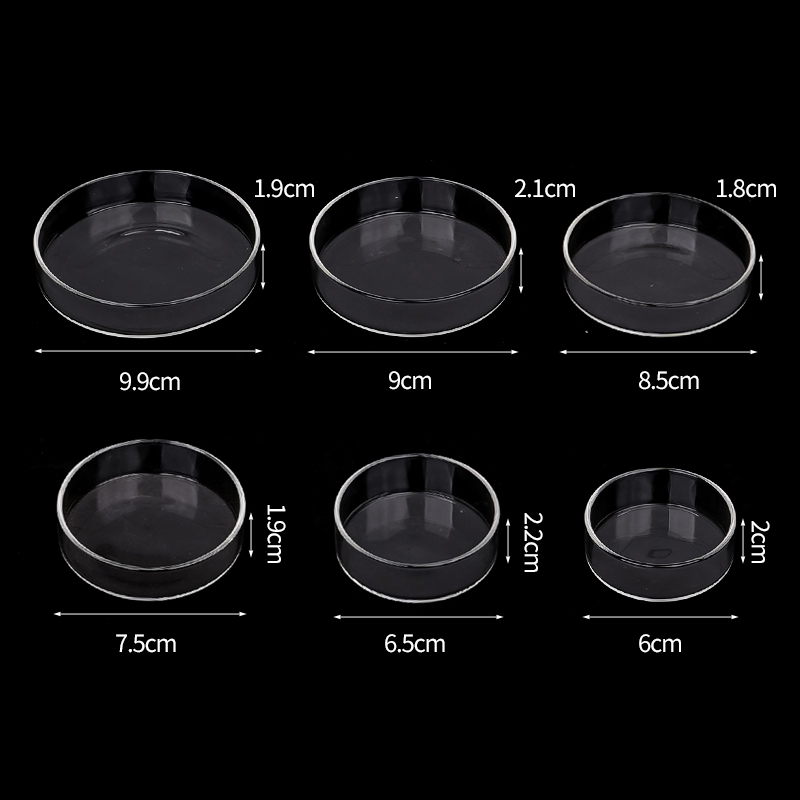 Karides besleme kabı Yüksek Şe - Aquarium Fish Eggs incelemesi ve fiyatı