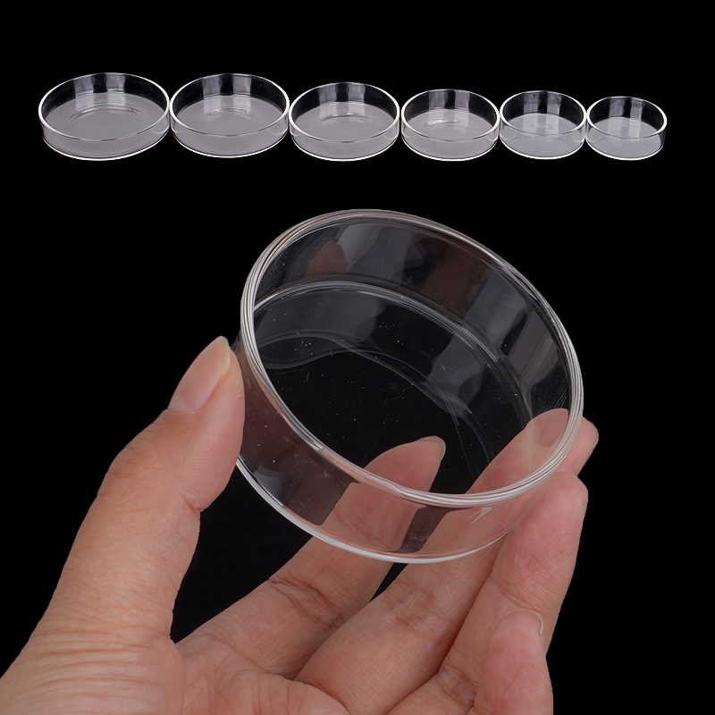 Karides besleme kabı Yüksek Şe - Aquarium Fish Eggs incelemesi ve fiyatı