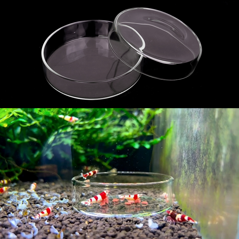 Karides besleme kabı Yüksek Şe - Aquarium Fish Eggs incelemesi ve fiyatı