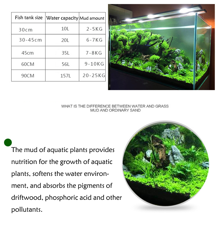 Akvaryum bitki tohumları topra - Aquarium Fish Types incelemesi ve fiyatı