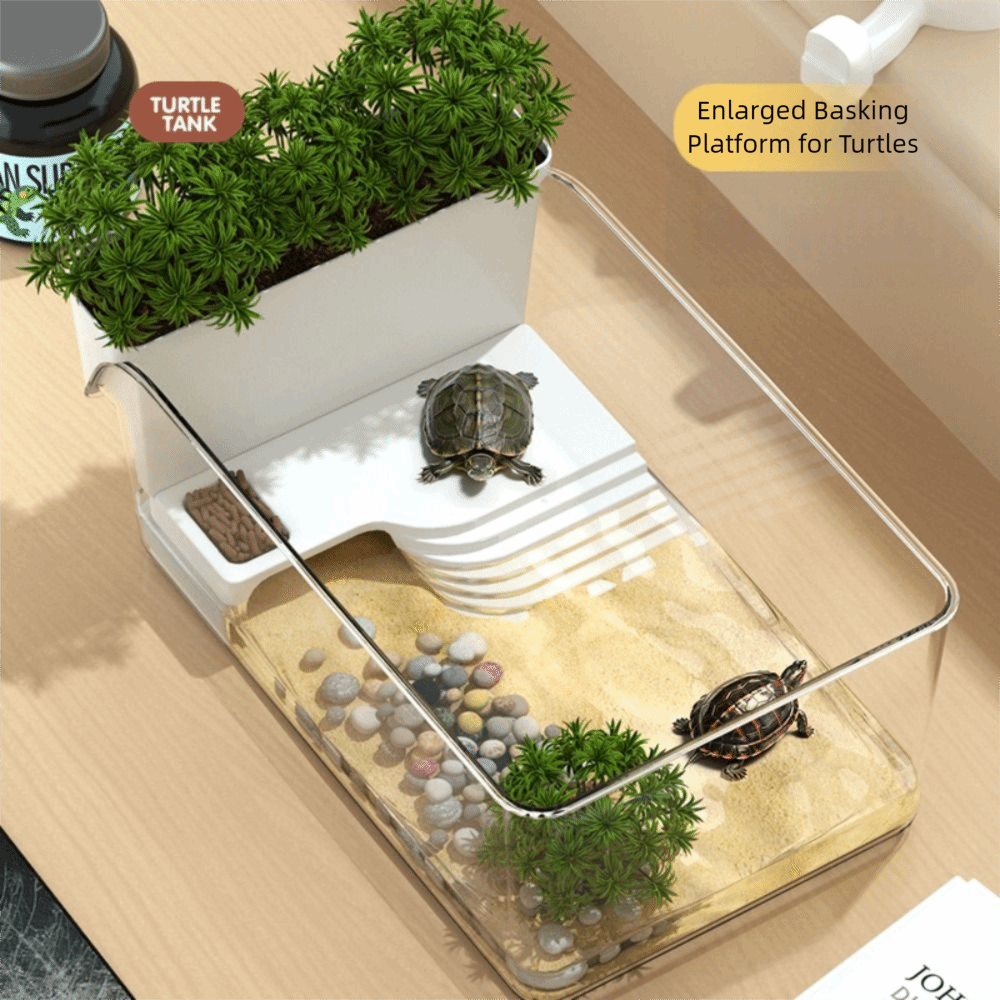 Şeffaf Kaplumbağa Tankı, Güneş - Aquarium Xl incelemesi ve fiyatı