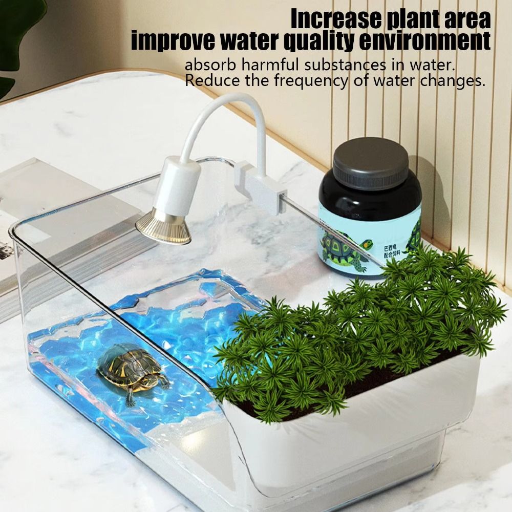 Şeffaf Kaplumbağa Tankı, Güneş - Aquarium Xl incelemesi ve fiyatı