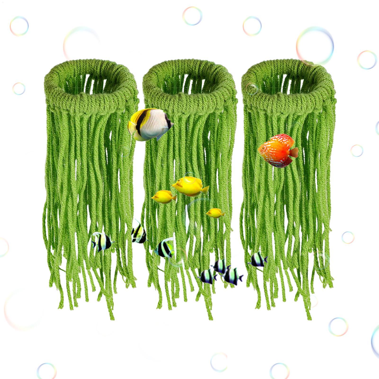 Su Bitkisi Yumurtlama Bezi Yüz - Aquarium Fish Eggs incelemesi ve fiyatı