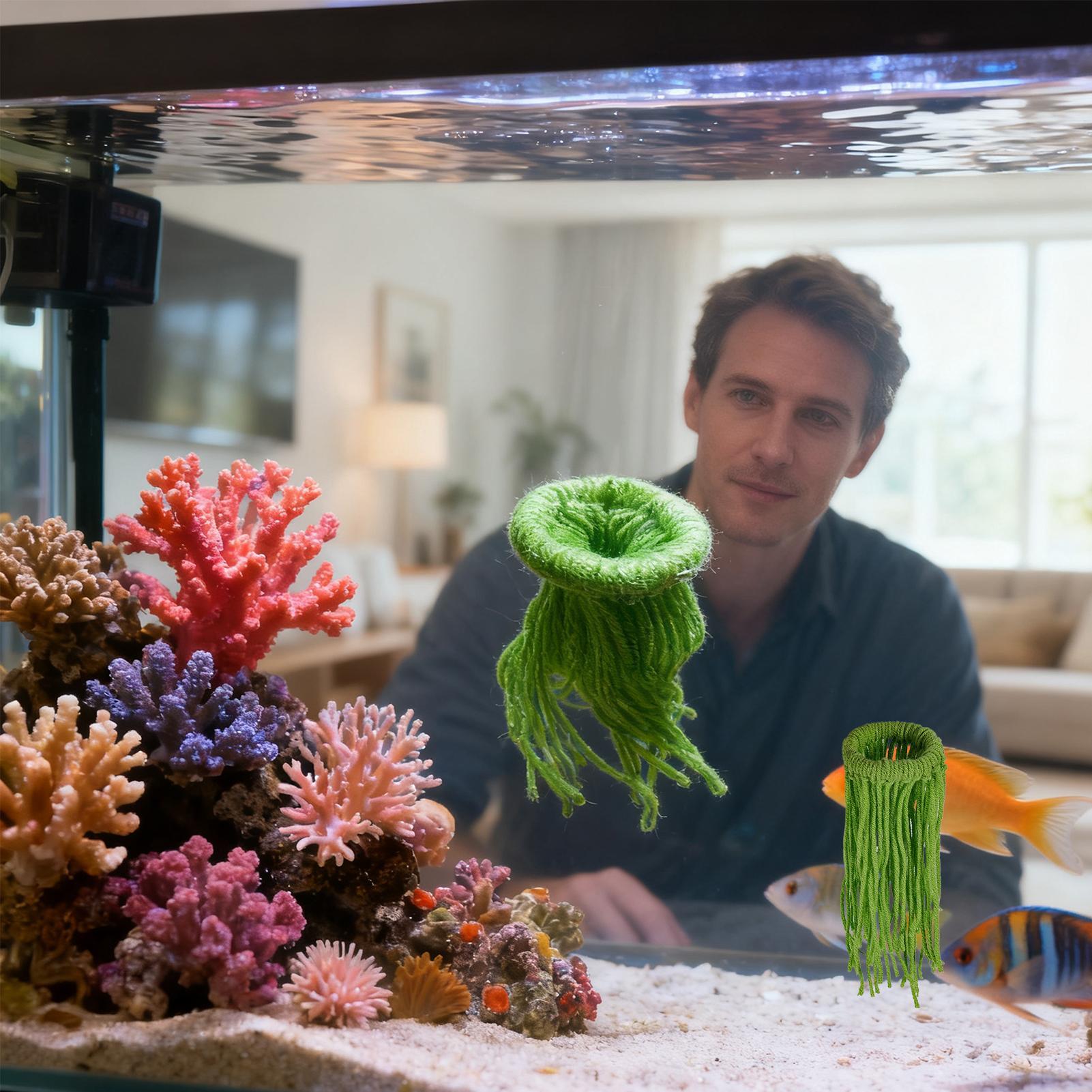 Su Bitkisi Yumurtlama Bezi Yüz - Aquarium Fish Eggs incelemesi ve fiyatı