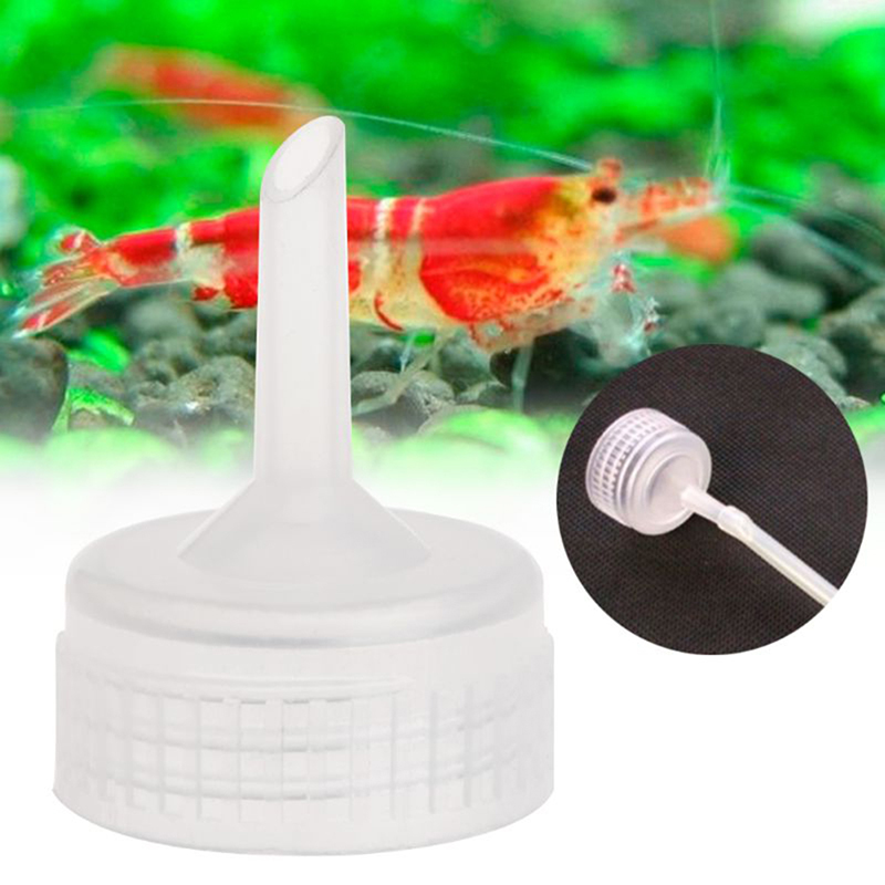 10 adet akvaryum tuzlu su kari - Aquarium Fish Eggs incelemesi ve fiyatı