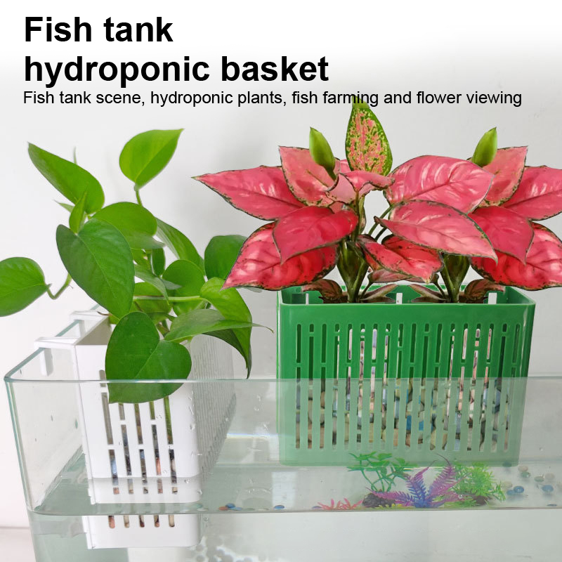 Balık Tankı Asılı Saksı Su Bit - Aquarium Fish Types incelemesi ve fiyatı