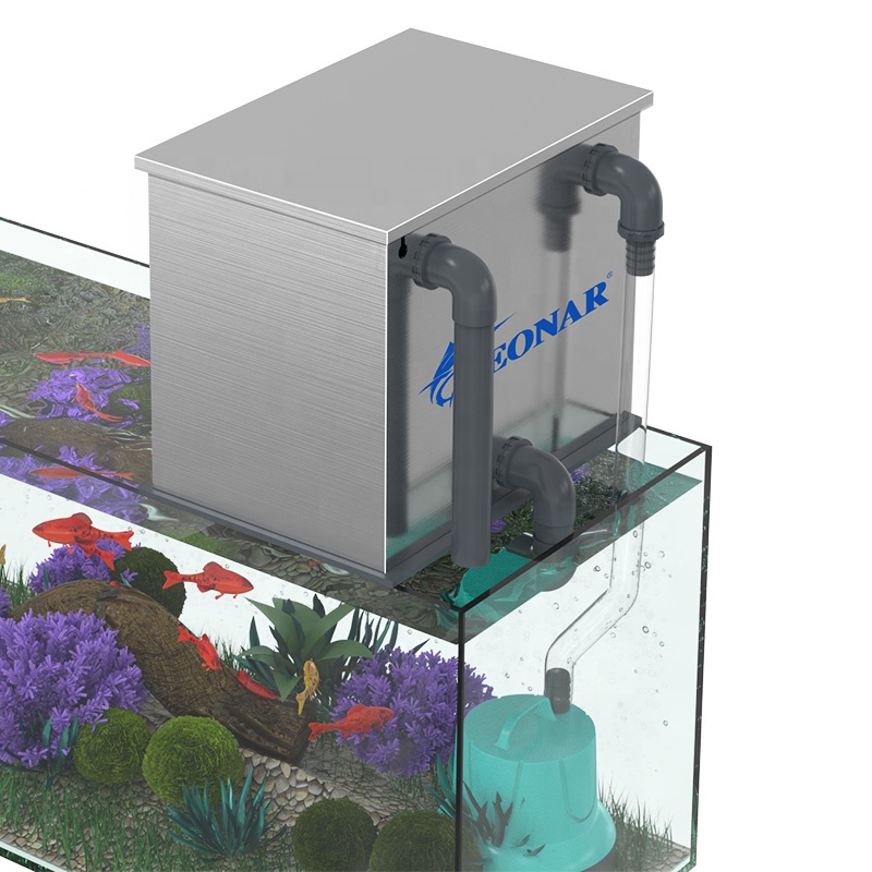Fabrika Doğrudan Satış Akvaryu - Aquarium Fish For Sale incelemesi ve fiyatı