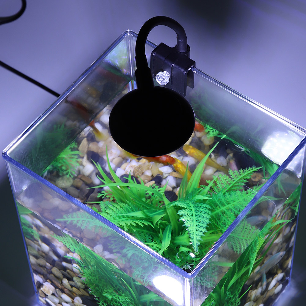 USB masaüstü balık tankı seti- - Aquarium Xl incelemesi ve fiyatı